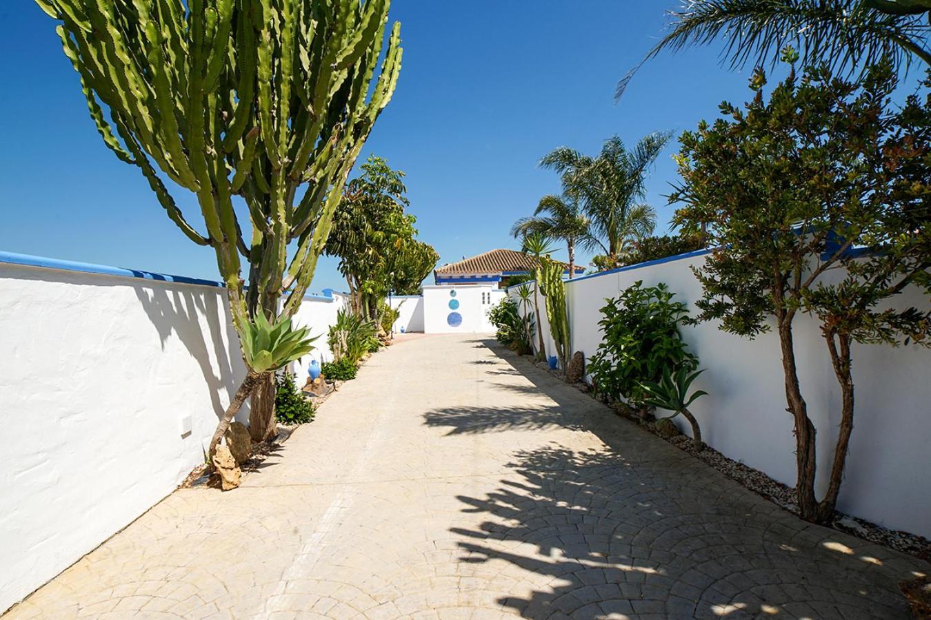Yuca Con Piscina Privada En Ferienhaus Conil De La Frontera